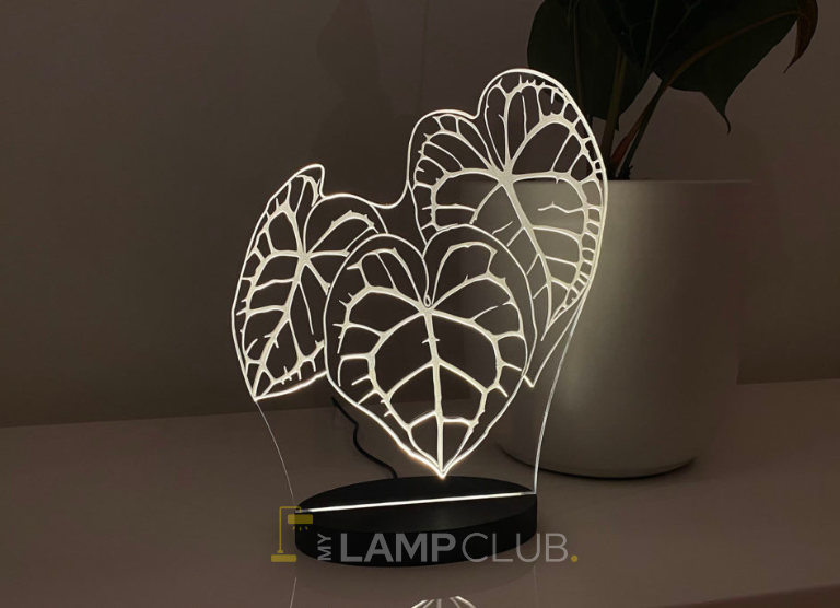 Exotic, Lush, Vibrant, Luxurious, Tropical, Elegant, Striking, Opulent, Majestic, Enchanting, Dramatic, Alluring, Regal, Mesmerizing, Splendid,