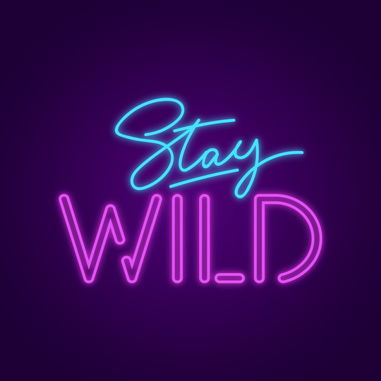 Stay Wild Néon Personnalisé | Enseigne LED Au Maroc – MyNeonClub