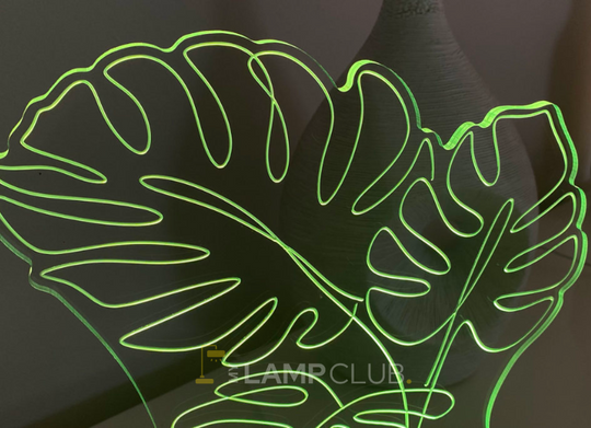 Monstera – série Jungle